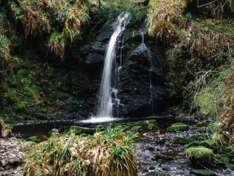 Hareshaw-Linn