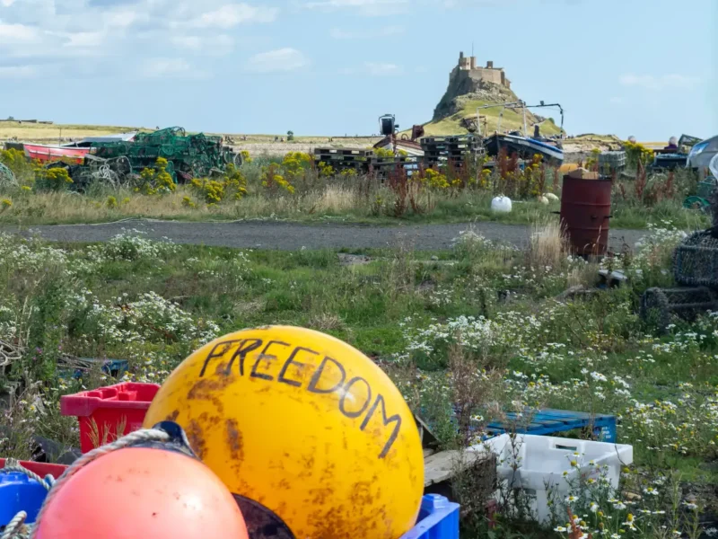 Holy-Island-Freedom