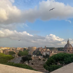 Rome-view